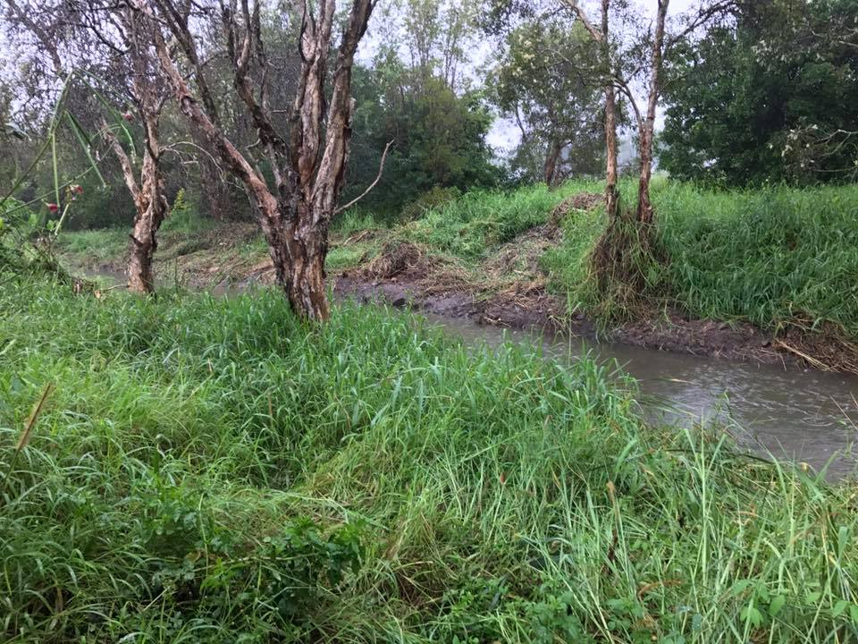 Drain Cleared